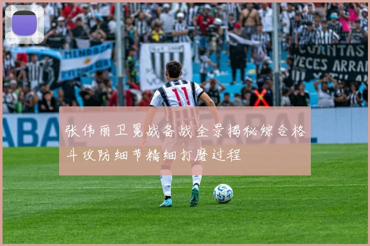 张伟丽卫冕战备战全景揭秘综合格斗攻防细节精细打磨过程